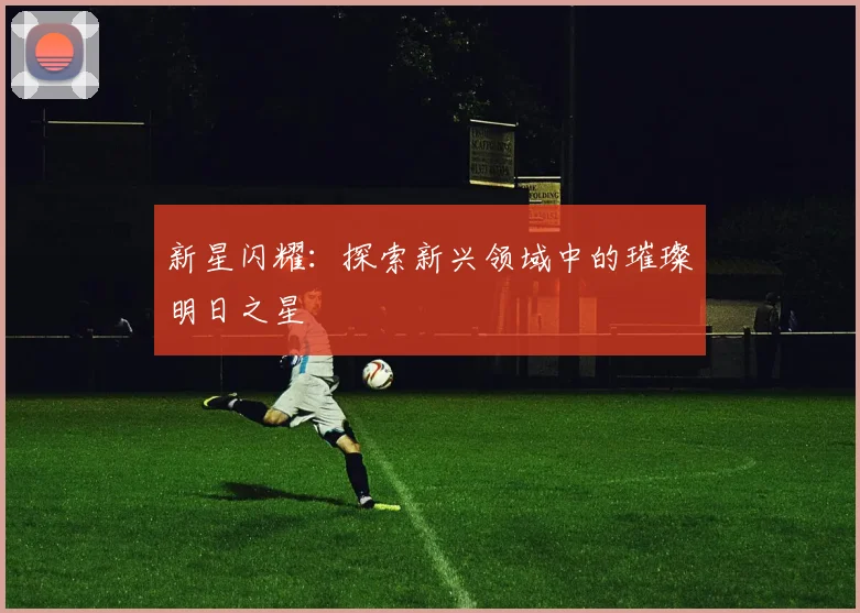 新星闪耀:探索新兴领域中的璀璨明日之星